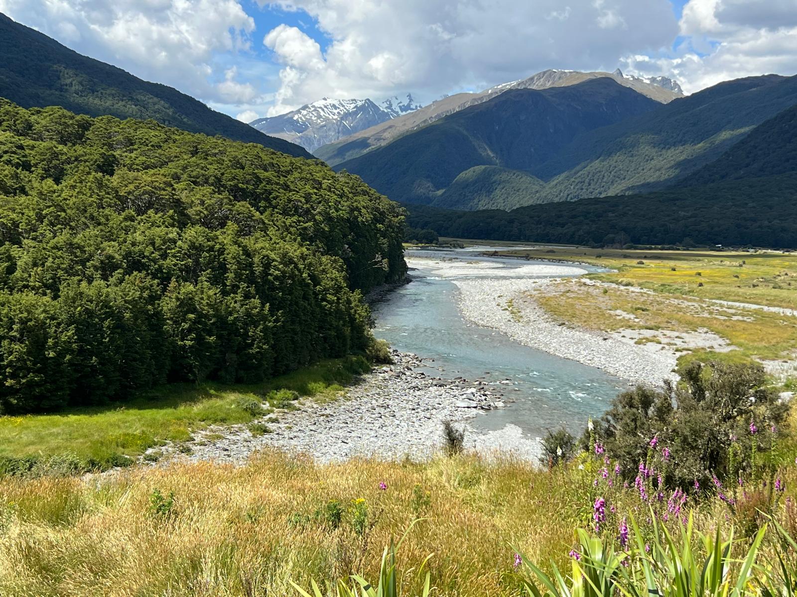 New Zealand Landscape